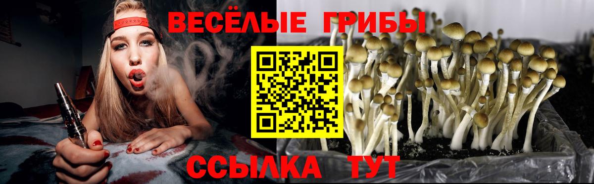 Лангепас  купить  цена  Вход с VPN  Псилоцибиновые грибы мицелий 